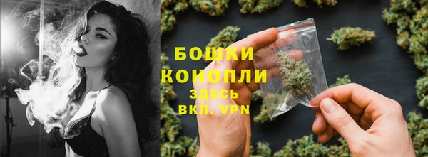тгк Майский