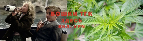 спиды Магас