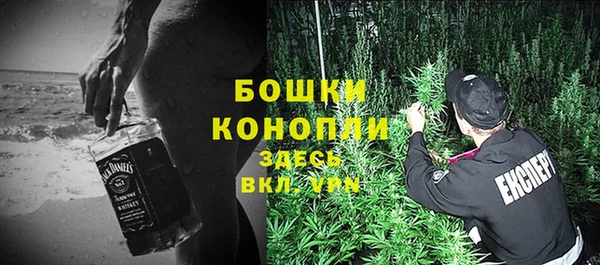 спиды Магас