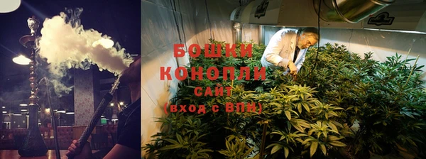 тгк Майский