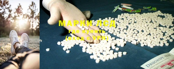спиды Магас