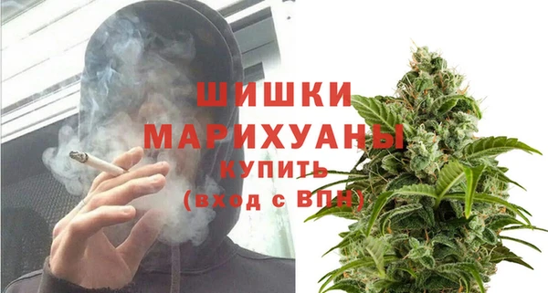 спиды Магас