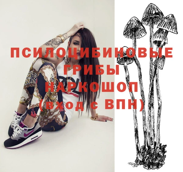 гидропоника Магадан