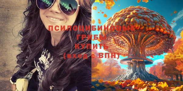 соль курить ск Липки